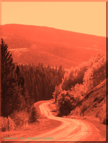 Fall Road in Colorado